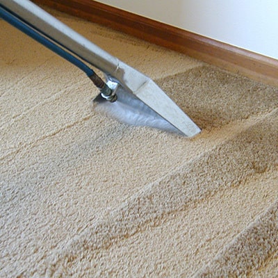 Rug & Carpet Cleaning thumbnail