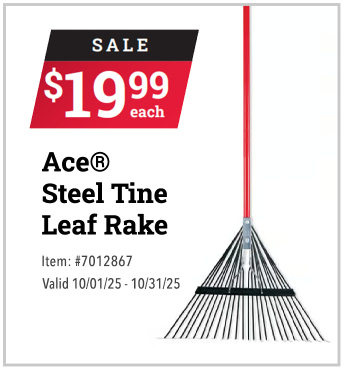 Featured product
