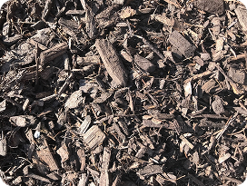 Walnut Brown