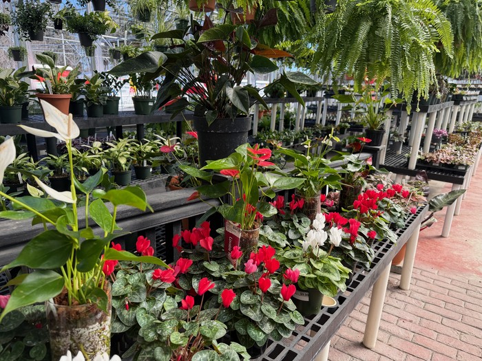 Garden Homepage0