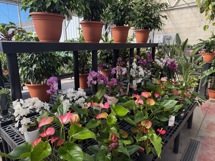 Garden Homepage2