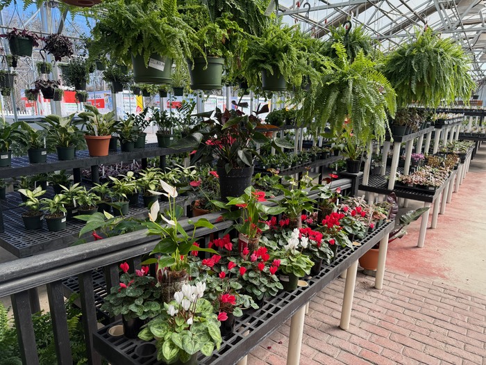 Garden Homepage4